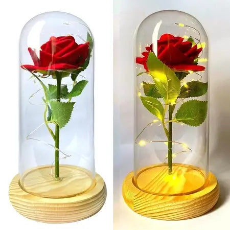 Rosa Encantada com Luzes LED na Cúpula de Vidro – Casare 06