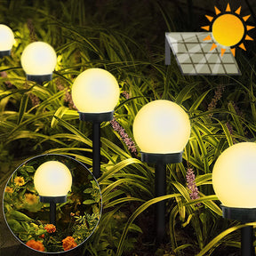 Luz Solar LED para Jardim - Casare